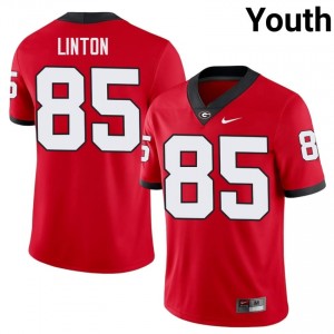Chase Linton #85 Red Youth Embroidery Jersey | Licensed UGA College Football Gear 96076291