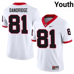 UGA Bulldogs Craig Dandridge #81 White Youth NCAA Jersey | Iconic Stitch Football Uniform 72995507